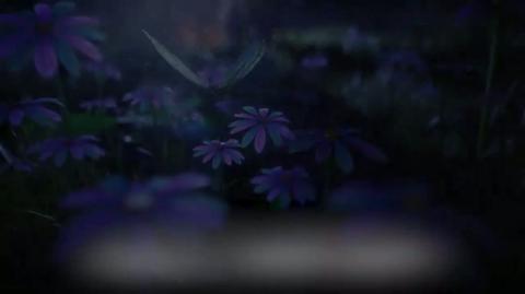 第212集