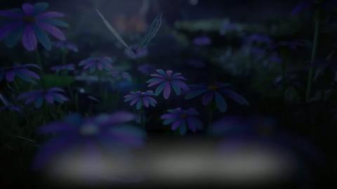 第240集下